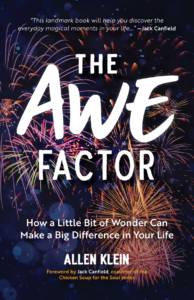 The Awe Factor - Cover