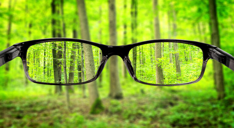 sight - Clear forest in glasses on the background of blurred forest