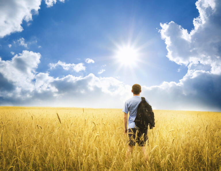 Man standing in field watching sun in blue sky. Use what arises.
